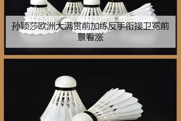 孙颖莎欧洲大满贯前加练反手衔接卫冕前景看涨